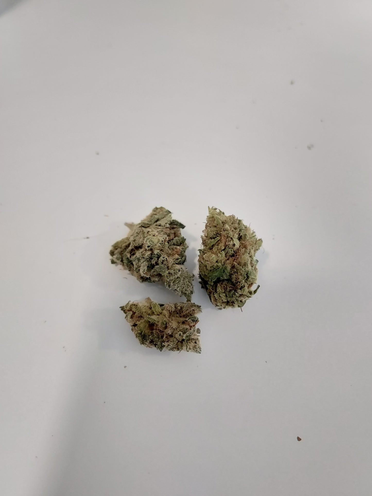 White Widow THCX