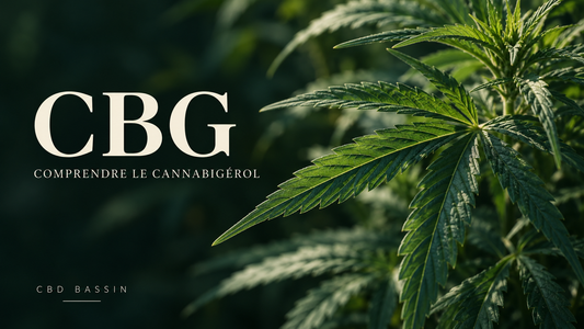 Illustration botanique de feuilles de chanvre avec le titre CBG – Comprendre le cannabigérol.