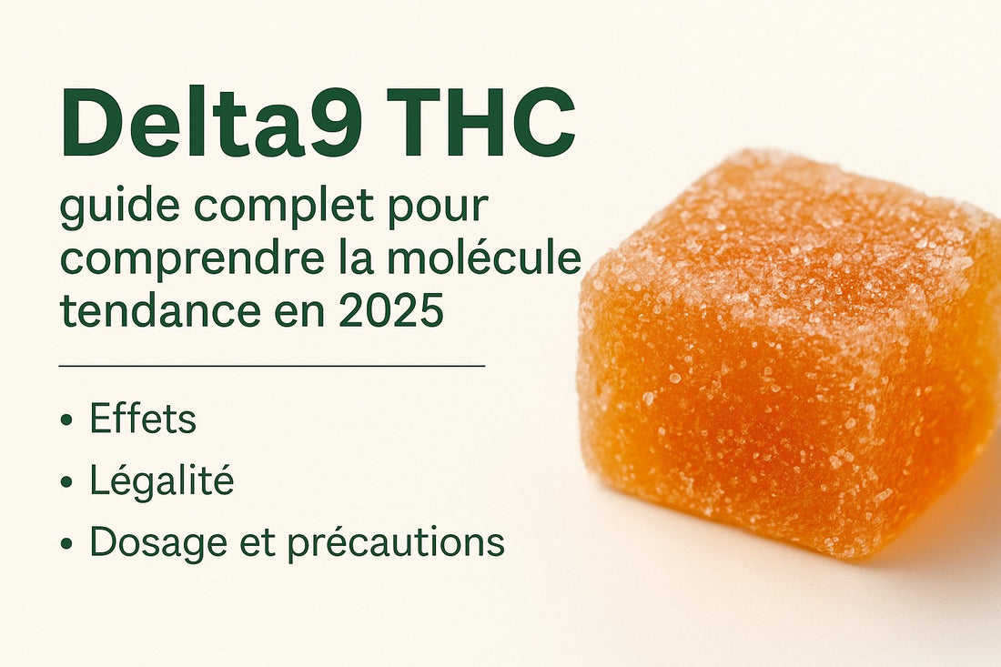 Delta9 THC : guide complet sur les effets, la légalité et le dosage en 2025