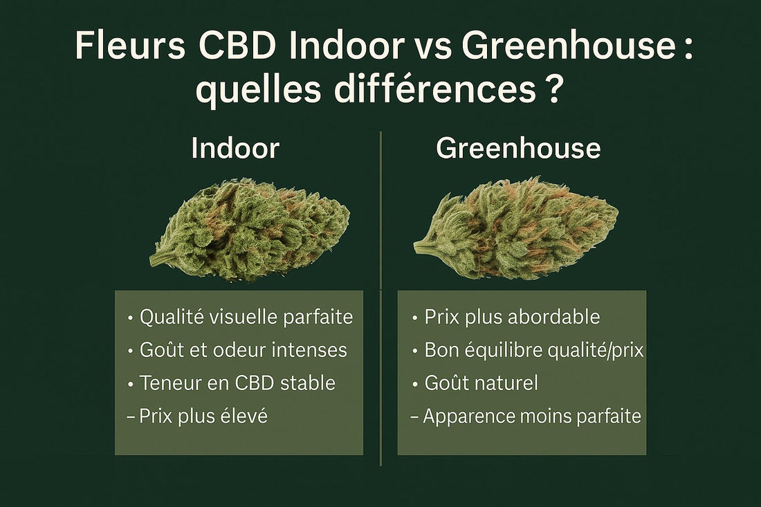 Comparatif fleurs CBD Indoor vs Greenhouse : différences de culture, prix et qualité