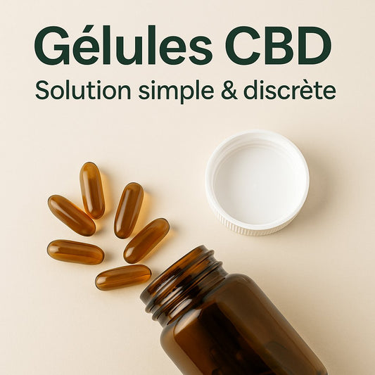 Gélules CBD : solution simple et discrète, alternative aux huiles et fleurs