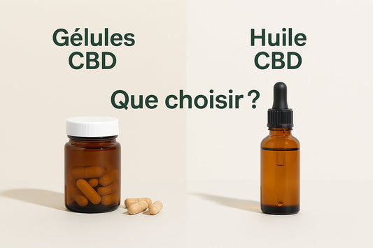 Comparatif gélules CBD et huile CBD : différences, avantages et choix