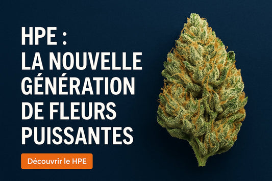 HPE : nouvelle génération de fleurs puissantes, alternative légale au CBD