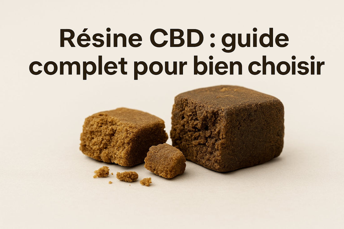 Résine CBD : guide complet pour bien choisir en 2025