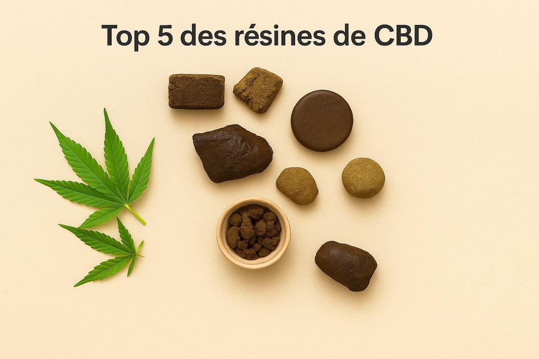 Top 5 des résines CBD les plus populaires en 2025 : Afghan, Ketama, Pollen, filtrée, premium