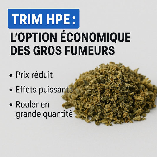 Trim HPE : solution économique et puissante pour gros consommateurs