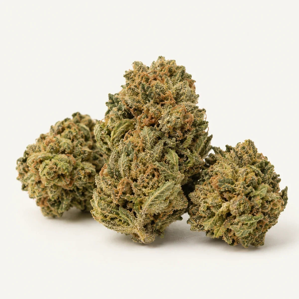 Illustration de Fleur CBD Cali sur fond clair