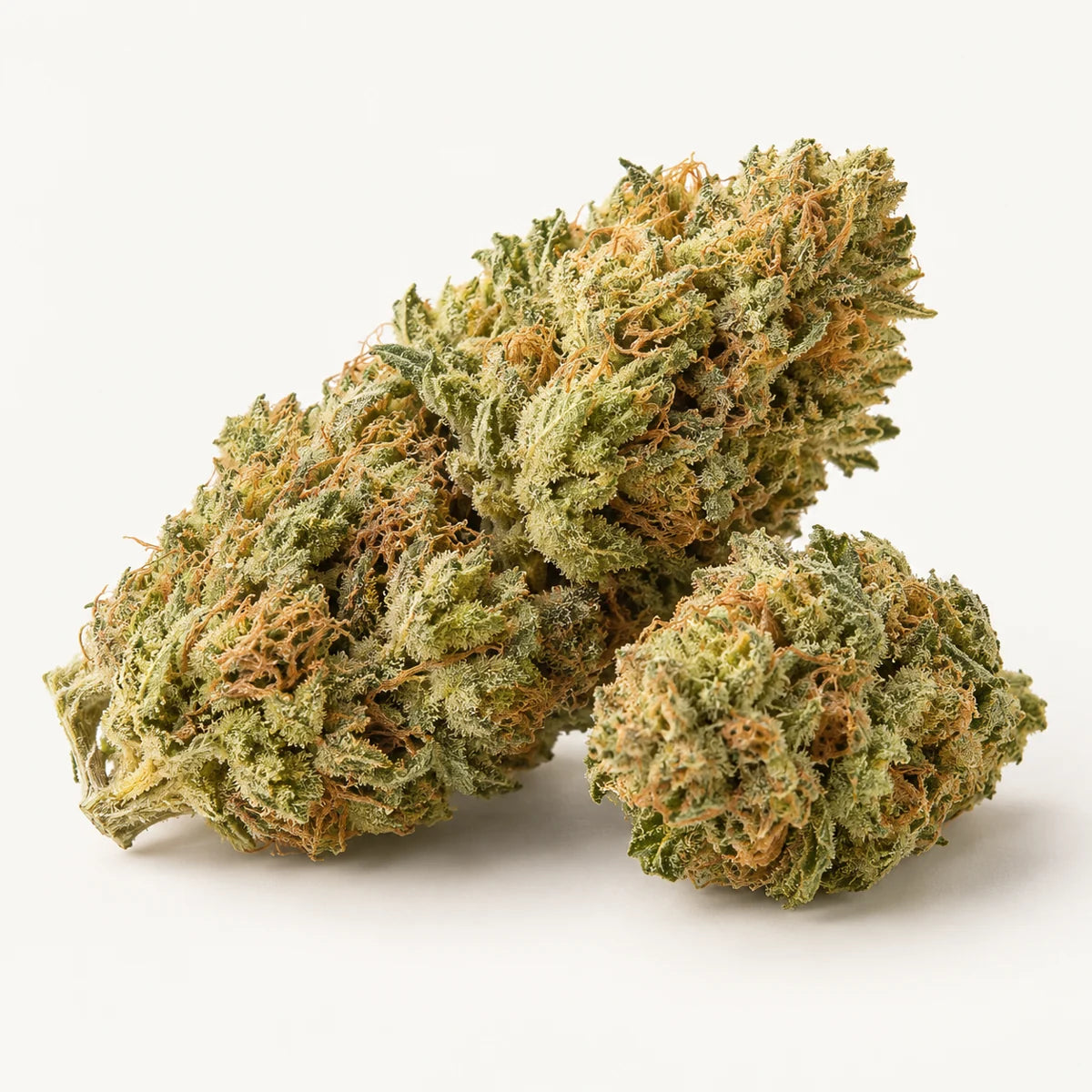 Illustration de Fleur Amnesia 2.0 Indoor CBD sur fond clair