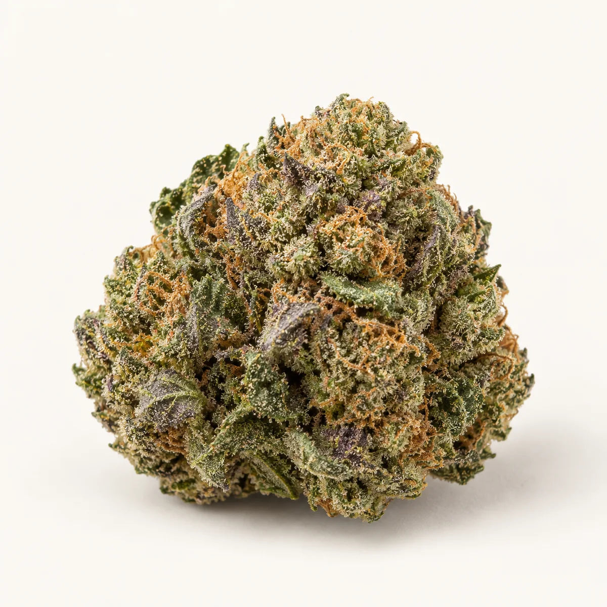 Illustration de fleur Girl Scout Cookies CBD sur fond clair