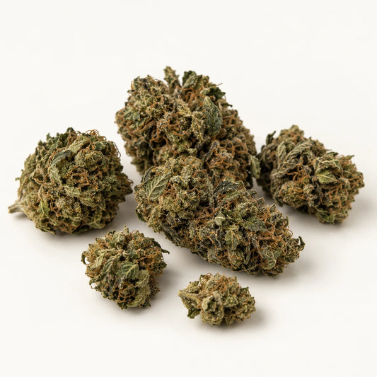 Illustration de Small Bud CBD Master Kush sur fond clair