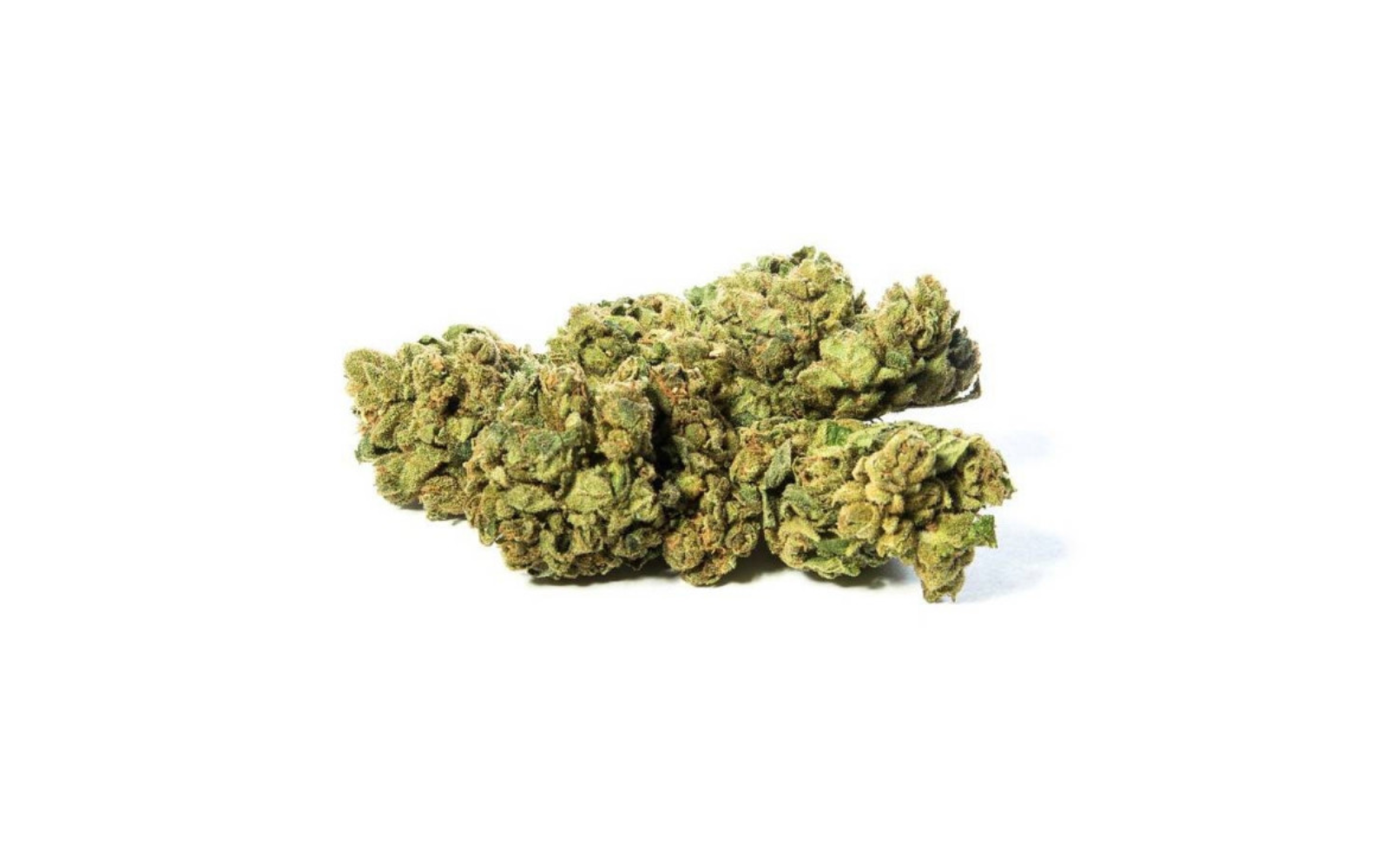 Fleur CBD Greenhouse OG Kush – arômes boisés et citronnés