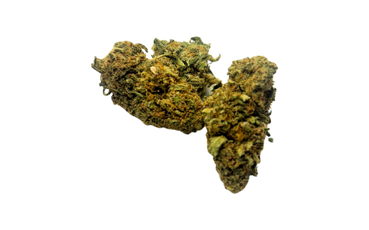 Fleur CBD White Widow – variété légendaire