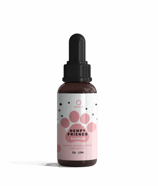 Huile CBD Animaux 5% au saumon – bien-être et mobilité chiens et chats