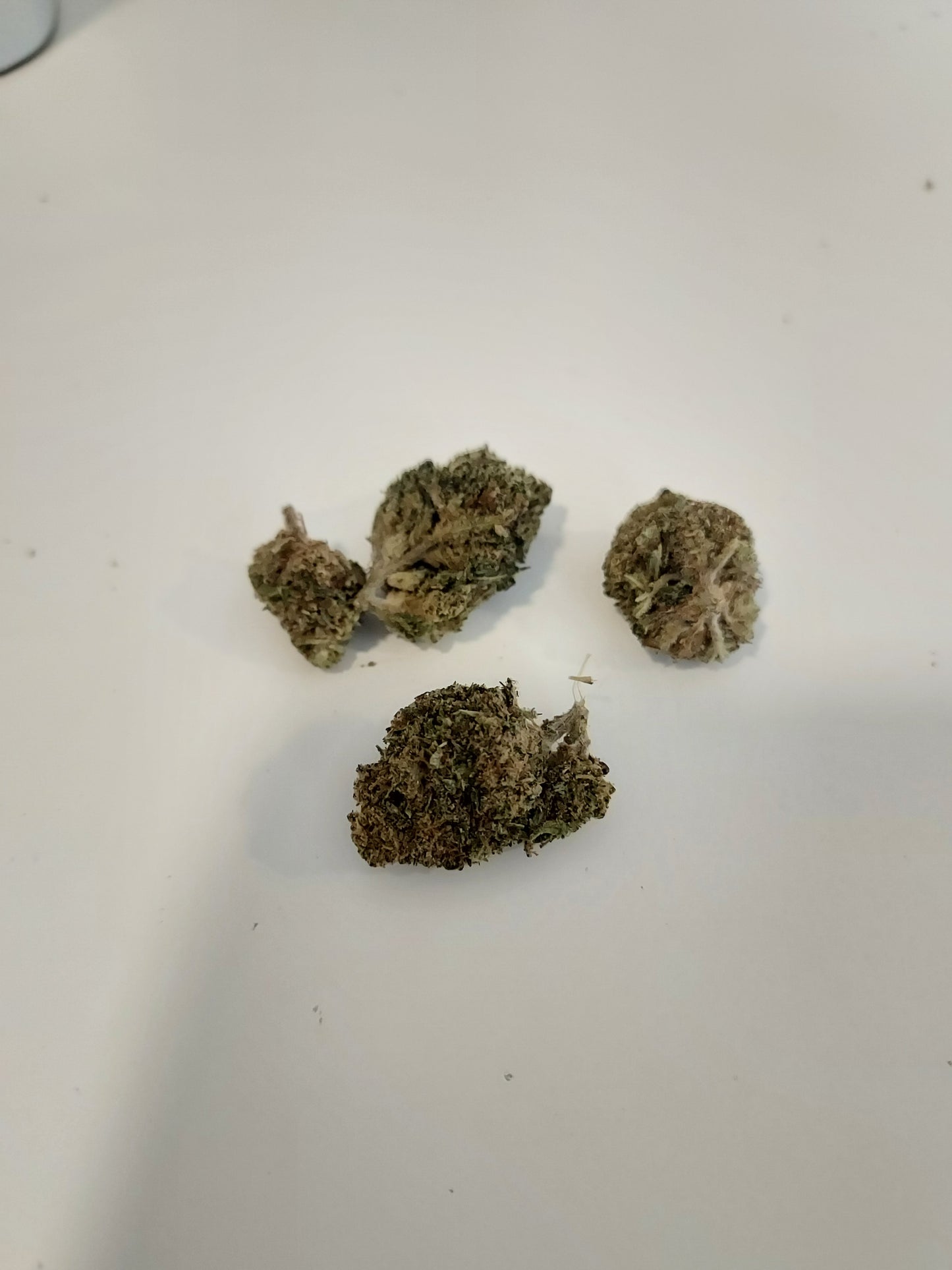 Girl Scoot Cookie THCX
