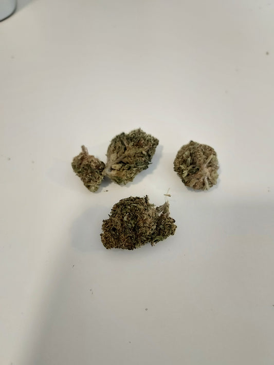 Girl Scoot Cookie THCX